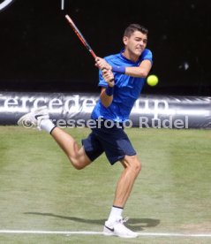 Tennis MercedesCup 2016 Stuttgart Weissenhof