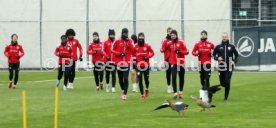 21.01.24 VfB Stuttgart Training