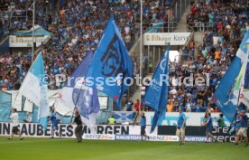 TSG 1899 Hoffenheim - SV Werder Bremen