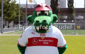 VfB Stuttgart Fototermin 2018/2019