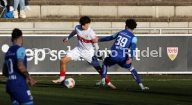 05.01.25 VfB Stuttgart - FC Luzern