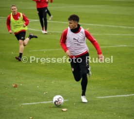 VfB Stuttgart Training