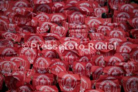 VfB Stuttgart - TSG 1899 Hoffenheim