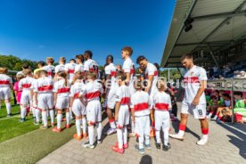 20.05.25 VfB Stuttgart II - FC Viktoria K&ouml;ln