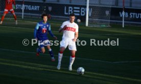 05.01.25 VfB Stuttgart - FC Luzern