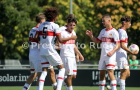24.08.24 U19 VfB Stuttgart - U19 Stuttgarter Kickers