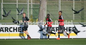 VfB Stuttgart Training