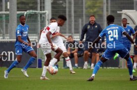 27.08.22 VfB Stuttgart II - TSG 1899 Hoffenheim II