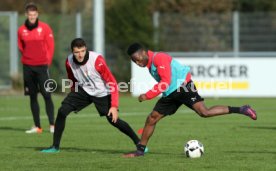 VfB Stuttgart Training