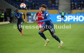 13.012.22 TSG 1899 Hoffenheim - DSC Arminia Bielefeld