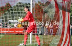 SG Dynamo Dresden - VfB Stuttgart