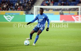 08.12.24 TSG 1899 Hoffenheim - SC Freiburg