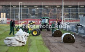 VfB Stuttgart Training