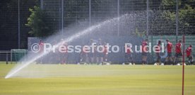 VFB Stuttgart Training