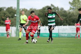 04.03.25 U19 Sporting CP - U19 VfB Stuttgart
