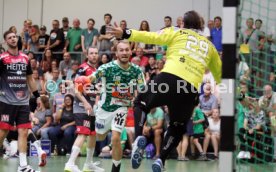 Frisch Auf G&ouml;ppingen - HC Erlangen