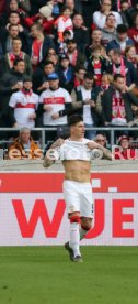 VfB Stuttgart - TSG 1899 Hoffenheim