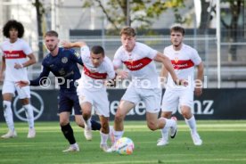 08.10.23 VfB Stuttgart II - 1. FSV Mainz 05 II