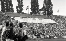 25.05.88 PSV Eindhoven - Benfica Lissabon