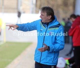 VfB Stuttgart II - SV Waldhof Mannheim