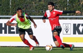 VfB Stuttgart Training