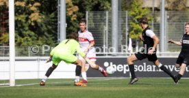 21.09.24 U19 VfB Stuttgart - U19 SV Elversberg