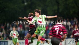 VfB Stuttgart - Rapid Wien