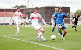 14.09.24 U17 VfB Stuttgart - U17 TSG 1899 Hoffenheim