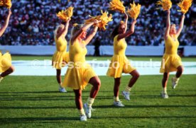 26.06.92 D&auml;nemark - Deutschland