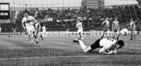 VfB Stuttgart - 1. FC K&ouml;ln