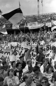 DFB-Pokal Finale 1987 Hamburger SV - Stuttgarter Kickers