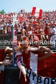 14.06.88 Deutschland - D&auml;nemark