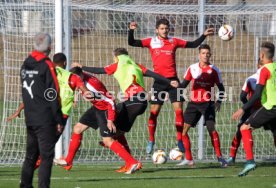 VfB Stuttgart Training