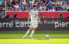 20.09.25 TSG 1899 Hoffenheim - FC Bayern M&uuml;nchen