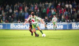 VfB Stuttgart - Rapid Wien