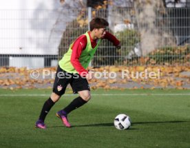 VfB Stuttgart Training
