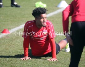 VfB Stuttgart Training
