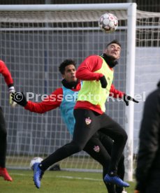 VfB Stuttgart Training