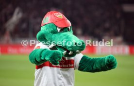 08.11.22 VfB Stuttgart - Hertha BSC Berlin