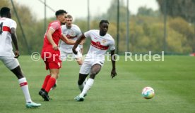 08.01.23 VfB Stuttgart - FC Sion