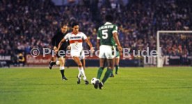 VfB Stuttgart - Cosmos New York