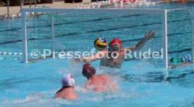 30.05.21 White Sharks Hannover - SSV Esslingen