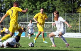 23.08.26 TSV Ph&ouml;nix Steinsfurt - SV Tiefenbach