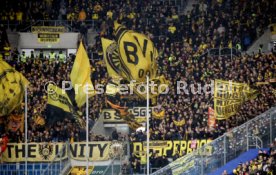 25.02.23 TSG 1899 Hoffenheim - Borussia Dortmund