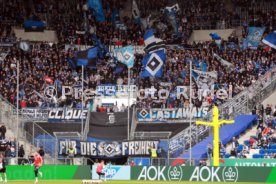 10.10.26 TSG 1899 Hoffenheim - Hamburger SV