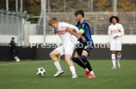 06.11.24 U19 VfB Stuttgart - U19 Atalanta Bergamo