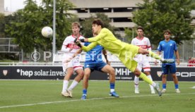 14.09.24 U17 VfB Stuttgart - U17 TSG 1899 Hoffenheim