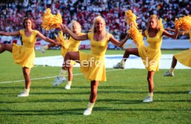 26.06.92 D&auml;nemark - Deutschland