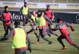 VfB Stuttgart Training