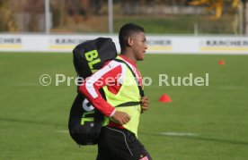 VFB Stuttgart Training